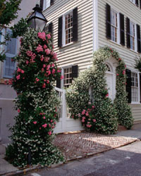 Historic home in Charleston SC